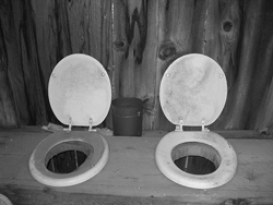 Old_outhouse_seats_250px.jpg