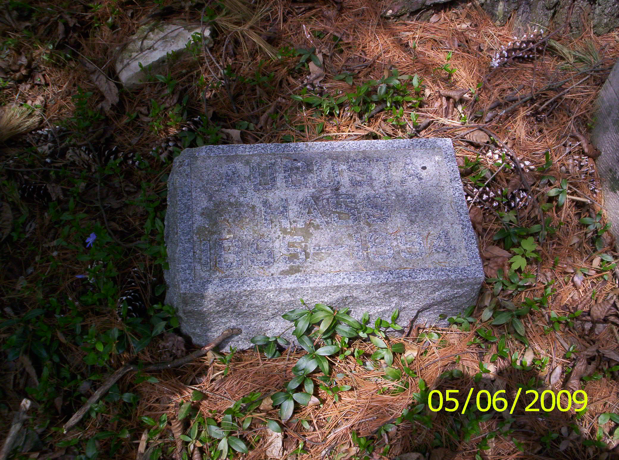 Tombstone at Hass Family Cemetery