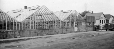 Hillview_greenhouse.jpg