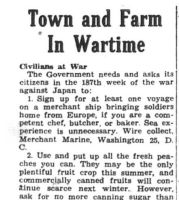 1945-07-05_RT_p01_Town_and_farm_in_wartime_CROP_thumb_thumb.jpg