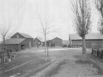The Bakkemellum/Ofstedahl farm yard. On the right is the original log barn. The granary building on the left is still standing. Photo courtesy of Walton Ofstedahl, 2000